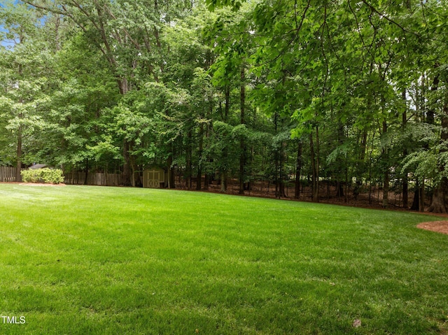 view of yard with a storage unit and an outdoor structure