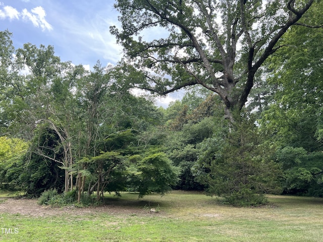 view of nature with a wooded view