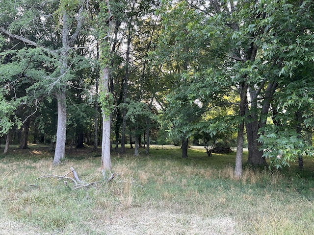 view of nature