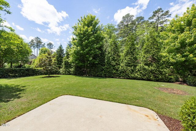 view of green lawn featuring a patio area