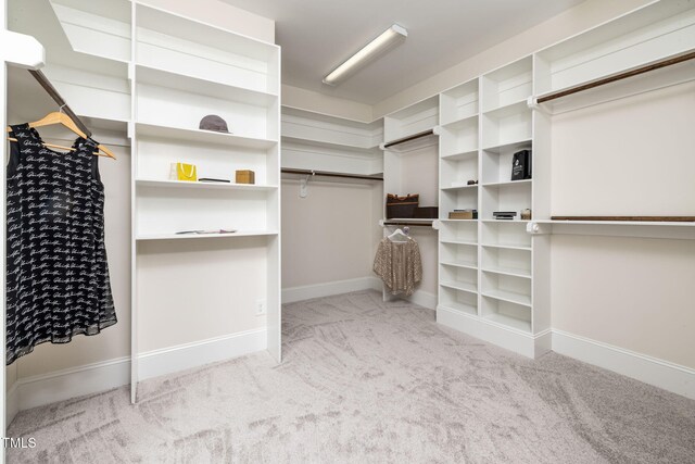 spacious closet featuring carpet flooring