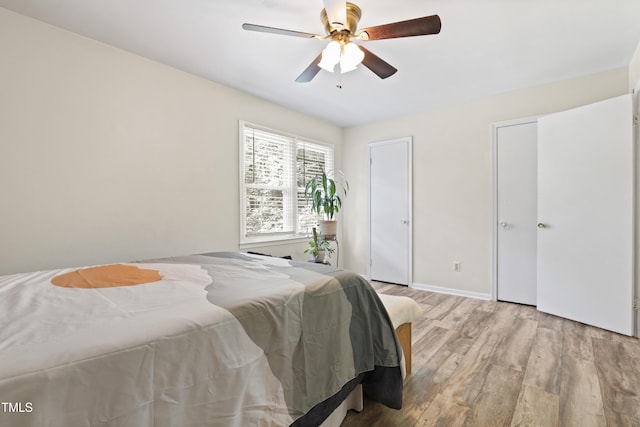bedroom with two closets, ceiling fan, and wood finished floors