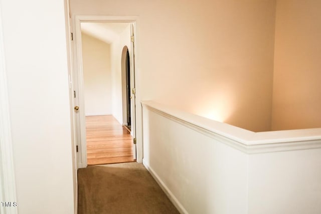 2528 Beech Gap Ct, Raleigh, NC 27603 - corridor with carpet floors