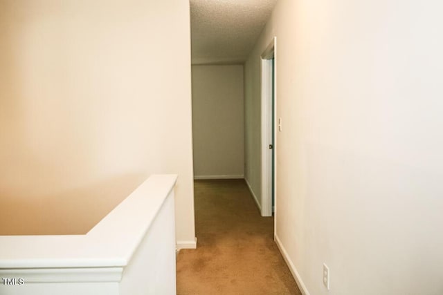2528 Beech Gap Ct, Raleigh, NC 27603 - hall featuring light colored carpet and a textured ceiling