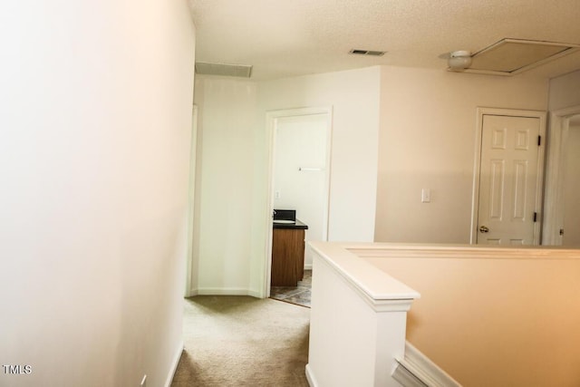 2528 Beech Gap Ct, Raleigh, NC 27603 - corridor featuring carpet flooring, an upstairs landing, and a textured ceiling