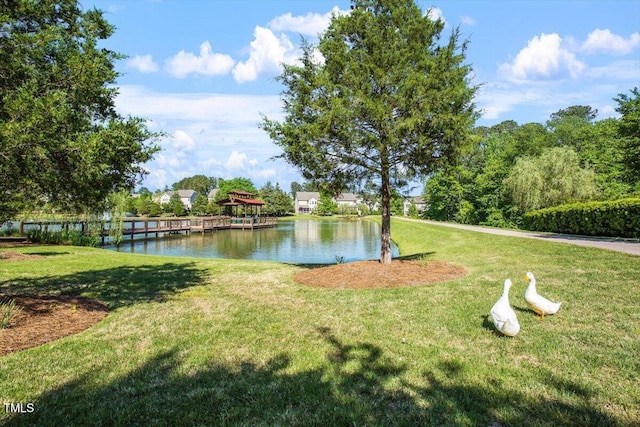 1317 Colonial Club Rd, Wake Forest, NC 27587 - view of property's community featuring a lawn and a water view