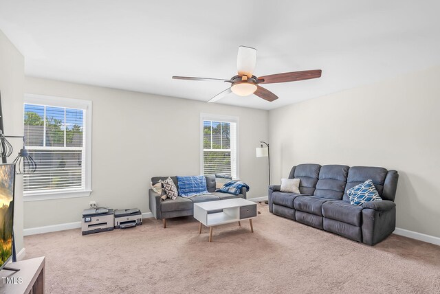 living area featuring baseboards, a healthy amount of sunlight, and carpet flooring