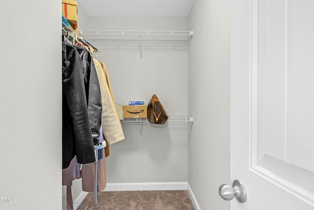 spacious closet featuring carpet flooring