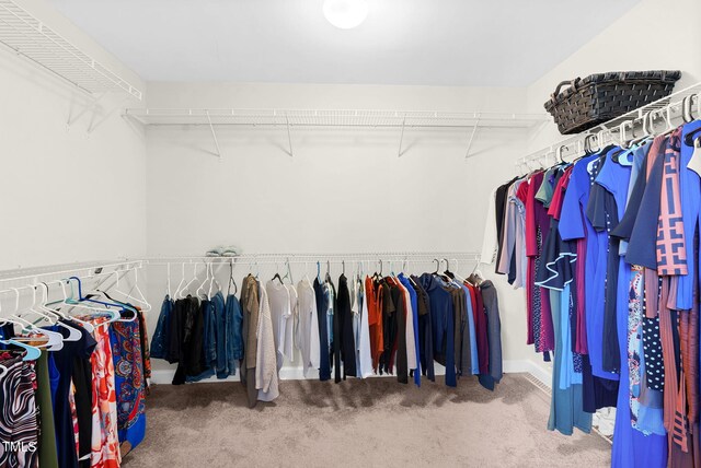 walk in closet featuring carpet