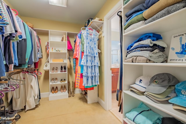 spacious closet with carpet