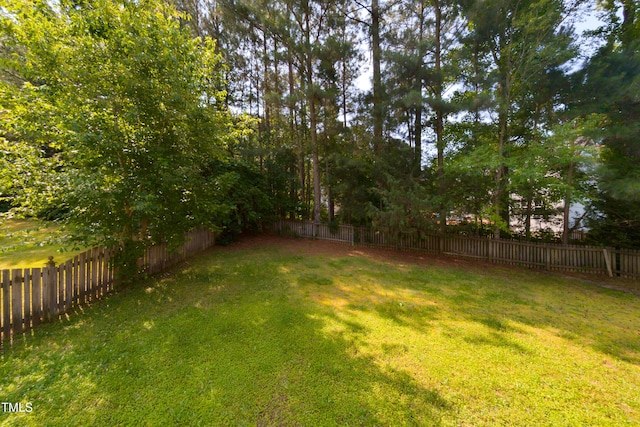 518 S Coalport Dr, Apex, NC 27502 - view of yard