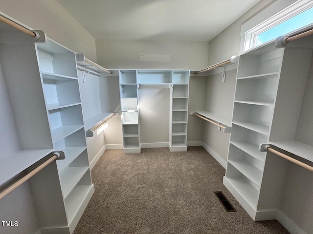 27 Batten Hill Ln, Selma, NC 27576 - walk in closet featuring carpet flooring
