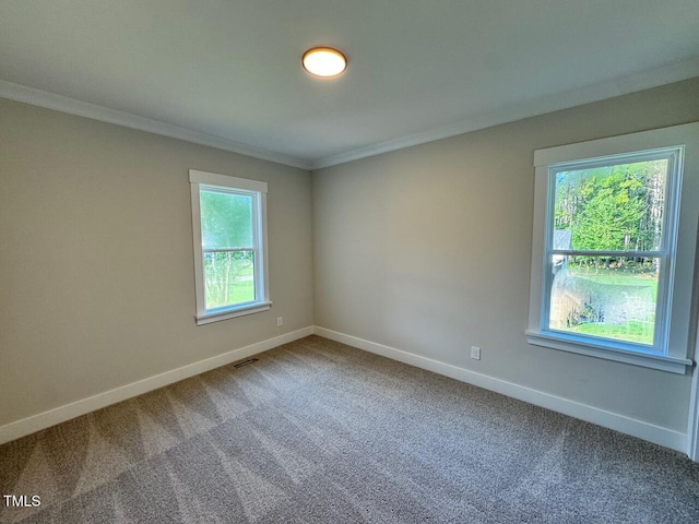 27 Batten Hill Ln, Selma, NC 27576 - spare room featuring ornamental molding and carpet flooring