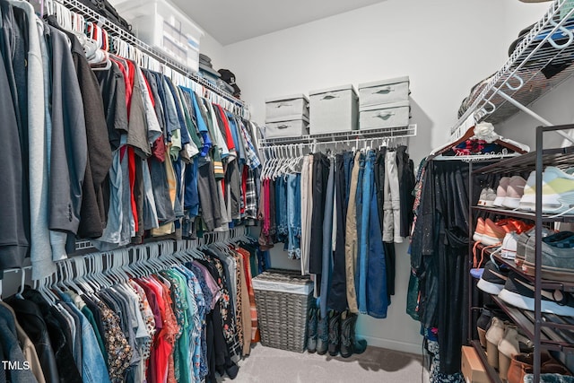 spacious closet with carpet