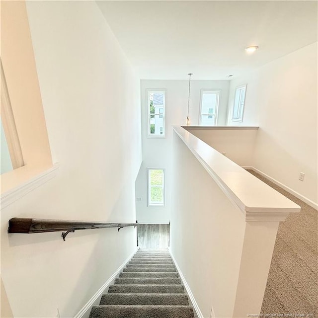 132 Cahill, Home, Raeford, NC 28376 - stairway featuring carpet and baseboards