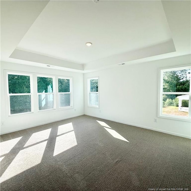 132 Cahill, Home, Raeford, NC 28376 - unfurnished room featuring a raised ceiling and carpet floors