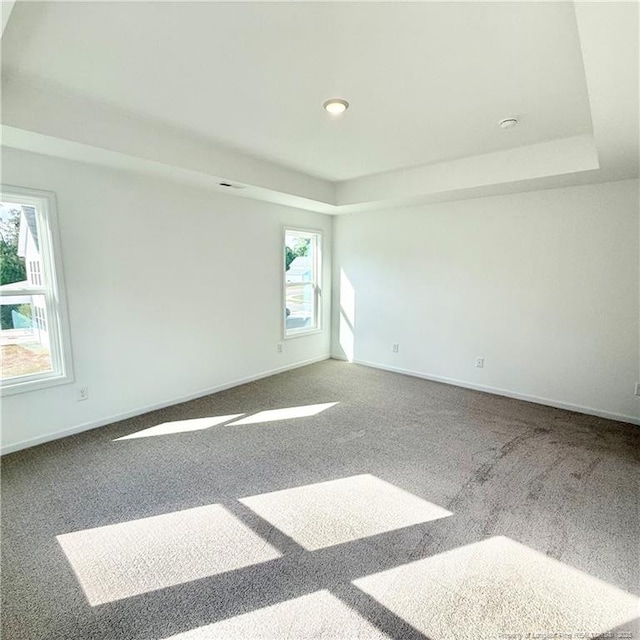 132 Cahill, Home, Raeford, NC 28376 - unfurnished room with carpet, a raised ceiling, and recessed lighting