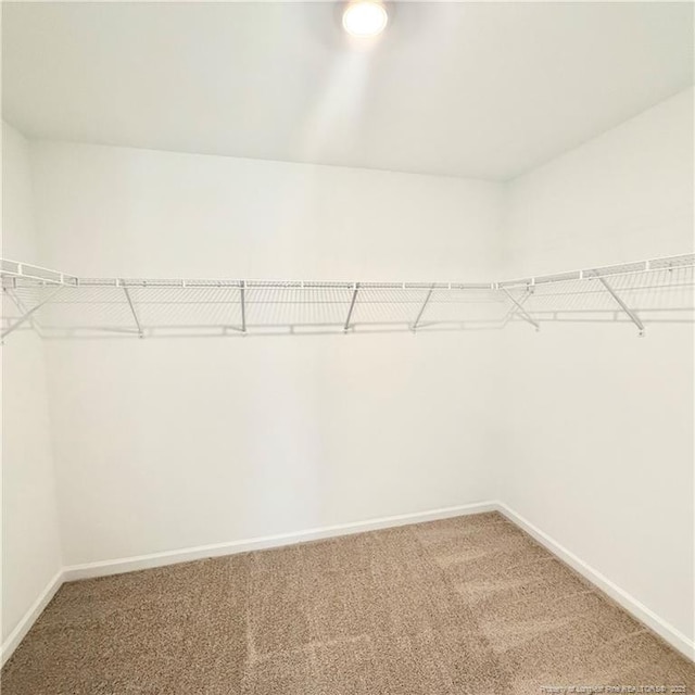 132 Cahill, Home, Raeford, NC 28376 - spacious closet with carpet flooring