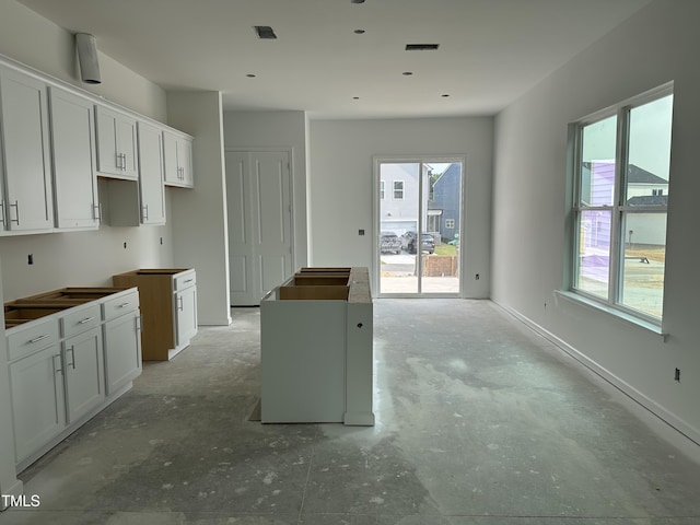 2874 Quarry Rd Unit 165, Rolesville, NC 27571 - kitchen with concrete floors, plenty of natural light, and white cabinets