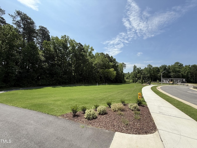 2874 Quarry Rd Unit 165, Rolesville, NC 27571 - surrounding community featuring a yard
