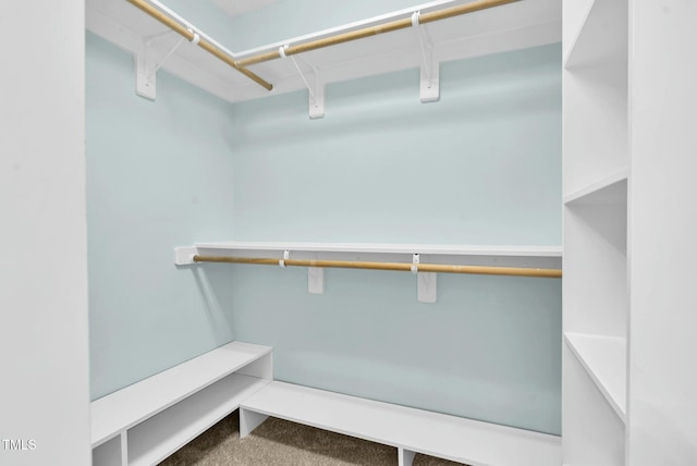 walk in closet with carpet