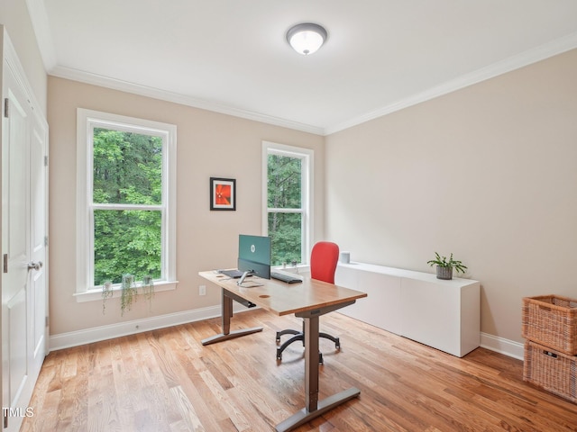 4125 Enfield Ridge Dr, Cary, NC 27519 - office featuring ornamental molding, light wood-type flooring, and baseboards