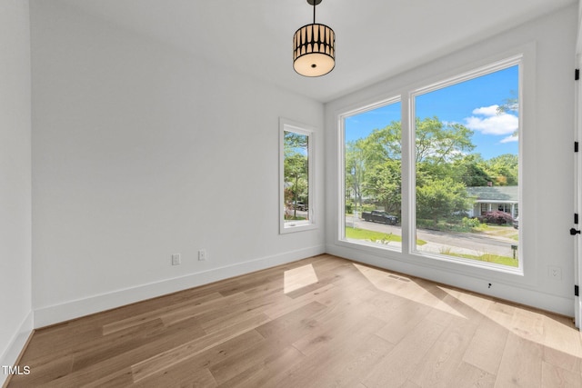 339 Mulberry St, Raleigh, NC 27604 - photo 6