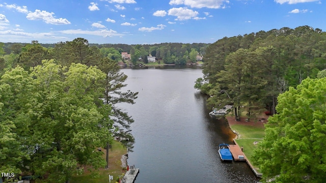 106 Desoto Dr, Louisburg, NC 27549 - photo 9