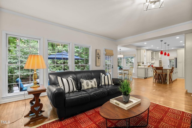 living room featuring ornamental molding, light wood-type flooring, and healthy amount of natural light