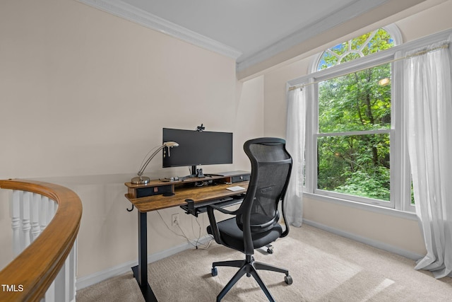 carpeted office space with crown molding, baseboards, and plenty of natural light