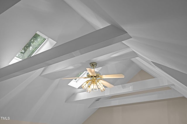 detailed view of a skylight