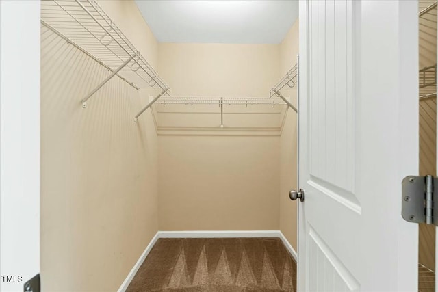 225 Gulley Glen Dr, Garner, NC 27529 - walk in closet with carpet floors