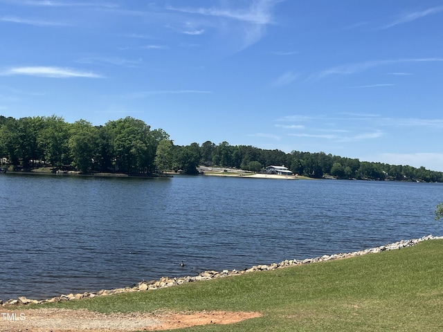118 Chanute Cir, Louisburg, NC 27549 - water view
