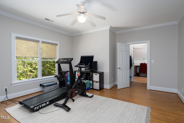 139 Stonebridge Dr, New London, NC 28127 - workout room featuring visible vents, ornamental molding, and baseboards