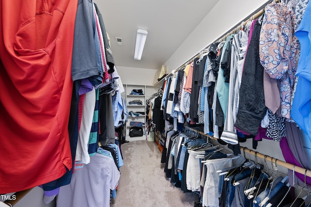 925 Hidden Jewel Ln, Wake Forest, NC 27587 - spacious closet featuring carpet