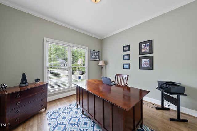 925 Hidden Jewel Ln, Wake Forest, NC 27587 - office space with ornamental molding, baseboards, and light wood-type flooring