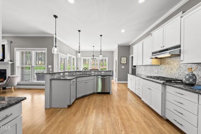 925 Hidden Jewel Ln, Wake Forest, NC 27587 - kitchen featuring under cabinet range hood, appliances with stainless steel finishes, a sink, light wood finished floors, and tasteful backsplash