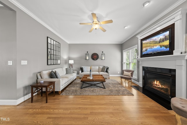 925 Hidden Jewel Ln, Wake Forest, NC 27587 - living room with ceiling fan, baseboards, light wood-style flooring, a fireplace with flush hearth, and crown molding