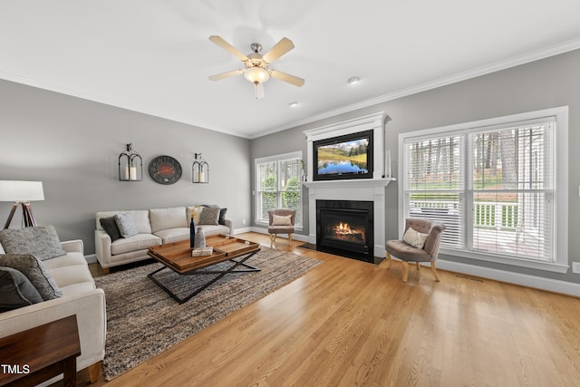 925 Hidden Jewel Ln, Wake Forest, NC 27587 - living area with wood finished floors, ornamental molding, a fireplace with flush hearth, baseboards, and a ceiling fan