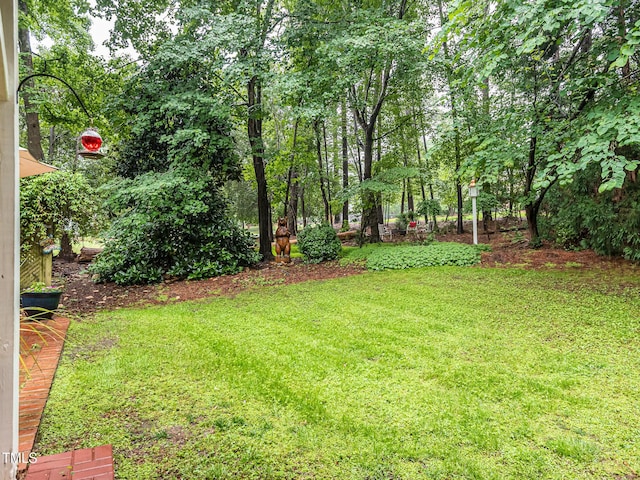 5401 Fire Pink Way, Raleigh, NC 27613 - view of grassy yard