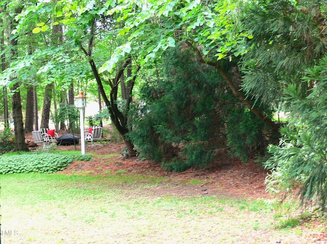 5401 Fire Pink Way, Raleigh, NC 27613 - view of yard