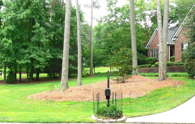 5401 Fire Pink Way, Raleigh, NC 27613 - view of green lawn