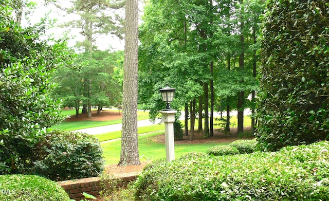 5401 Fire Pink Way, Raleigh, NC 27613 - view of community featuring a lawn