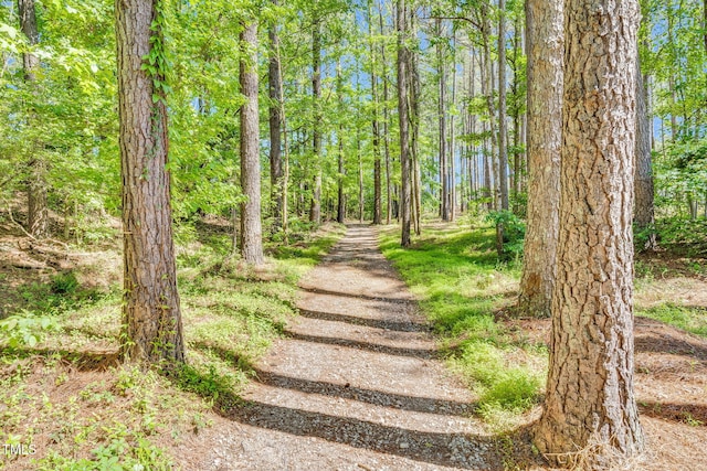 128 Paraggi Ct, Clayton, NC 27527 - exterior space with a forest view