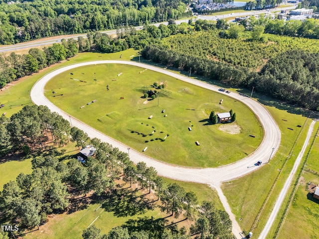 128 Paraggi Ct, Clayton, NC 27527 - bird's eye view