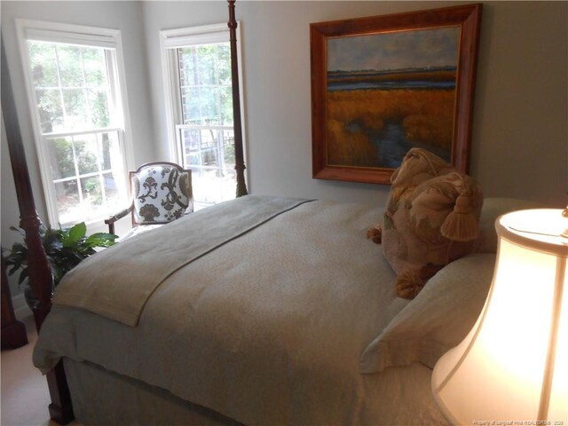 600 Yorkshire Pl, Lumberton, NC 28358 - bedroom featuring carpet flooring