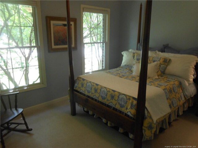 600 Yorkshire Pl, Lumberton, NC 28358 - bedroom with carpet floors, multiple windows, and baseboards