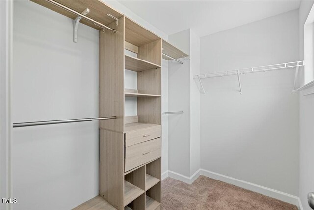 1005 Whispering Creek Ct, Knightdale, NC 27545 - walk in closet with light colored carpet