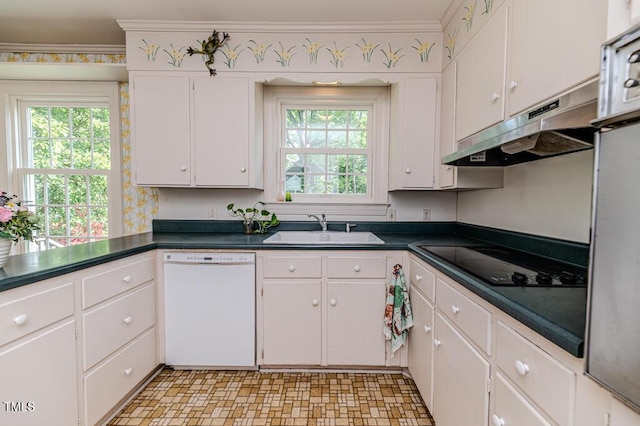 kitchen featuring crown molding, white dishwasher, black electric stovetop, under cabinet range hood, and a sink
