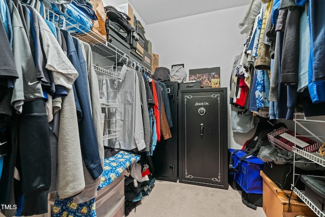 spacious closet with carpet floors